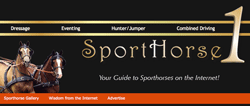 Sporthorse1.com